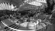 The Montreal Biodome (techeasy.com)