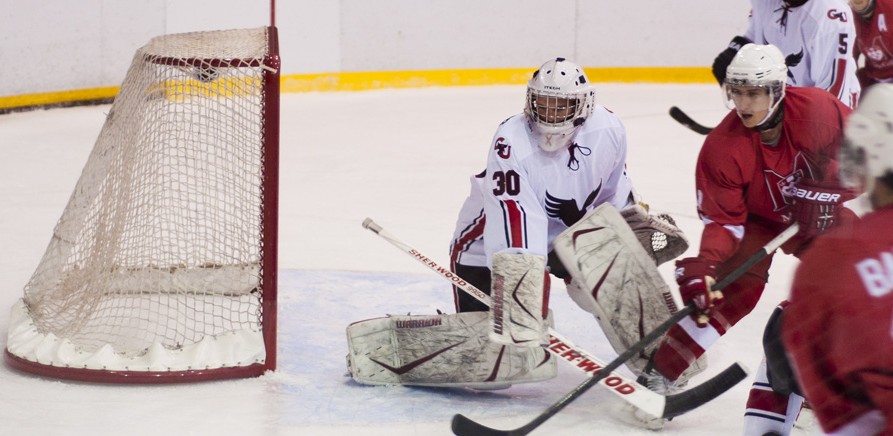 McGill won the special teams battle, going 2-5 on the powerplay. (Simon Poitrimolt / McGill Tribune)