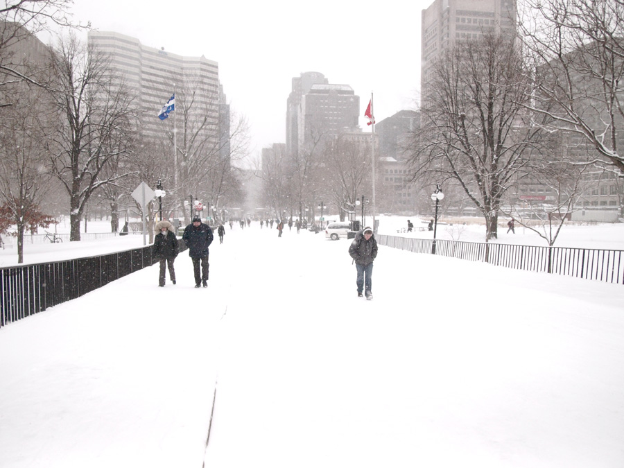 The beautiful McGill campus. (Wendy Chen / McGill Tribune)