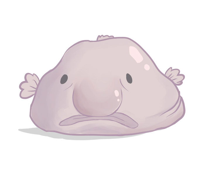 9 Interesting Facts About the Blobfish 