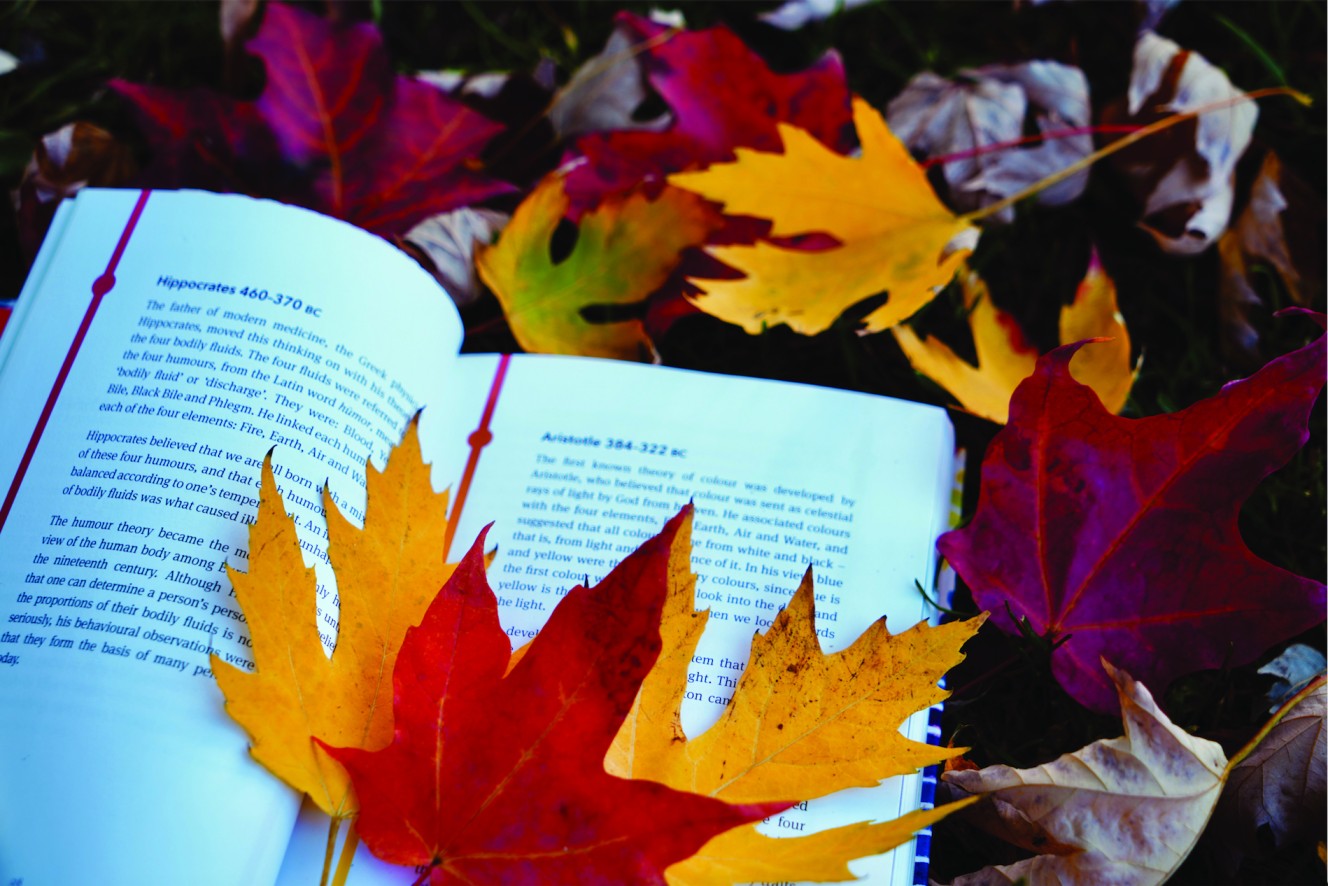What we liked this fall reading break The Tribune