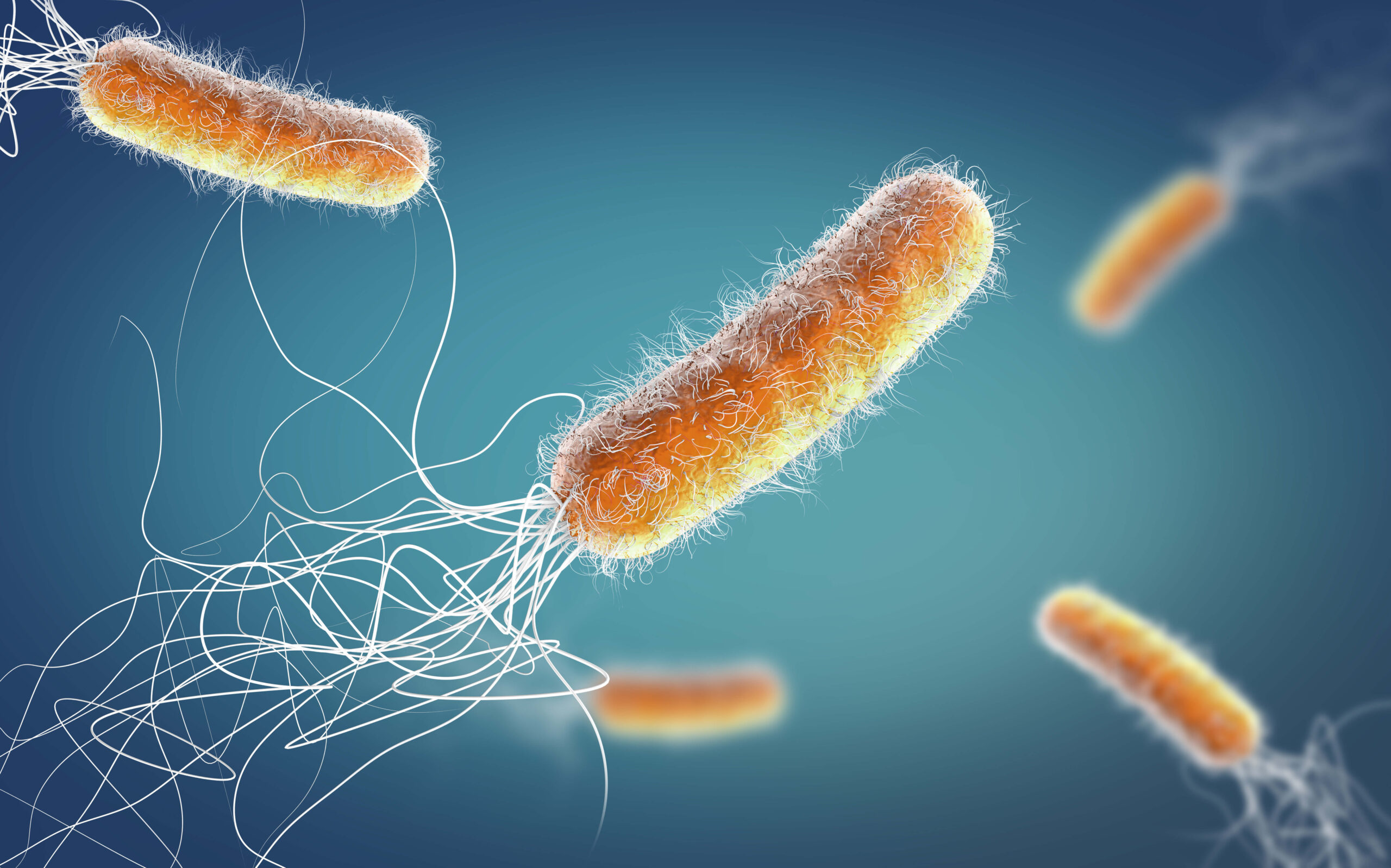 P Aeruginosa The Culprit Of Lung Infections In Cystic Fibrosis   Pseudomonas Aeruginosa 0 Scaled 