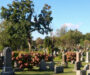 Silent stones: revisiting the forgotten in Montreal’s cemeteries