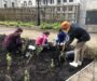 Garden planting event cultivates community and biodiversity on campus